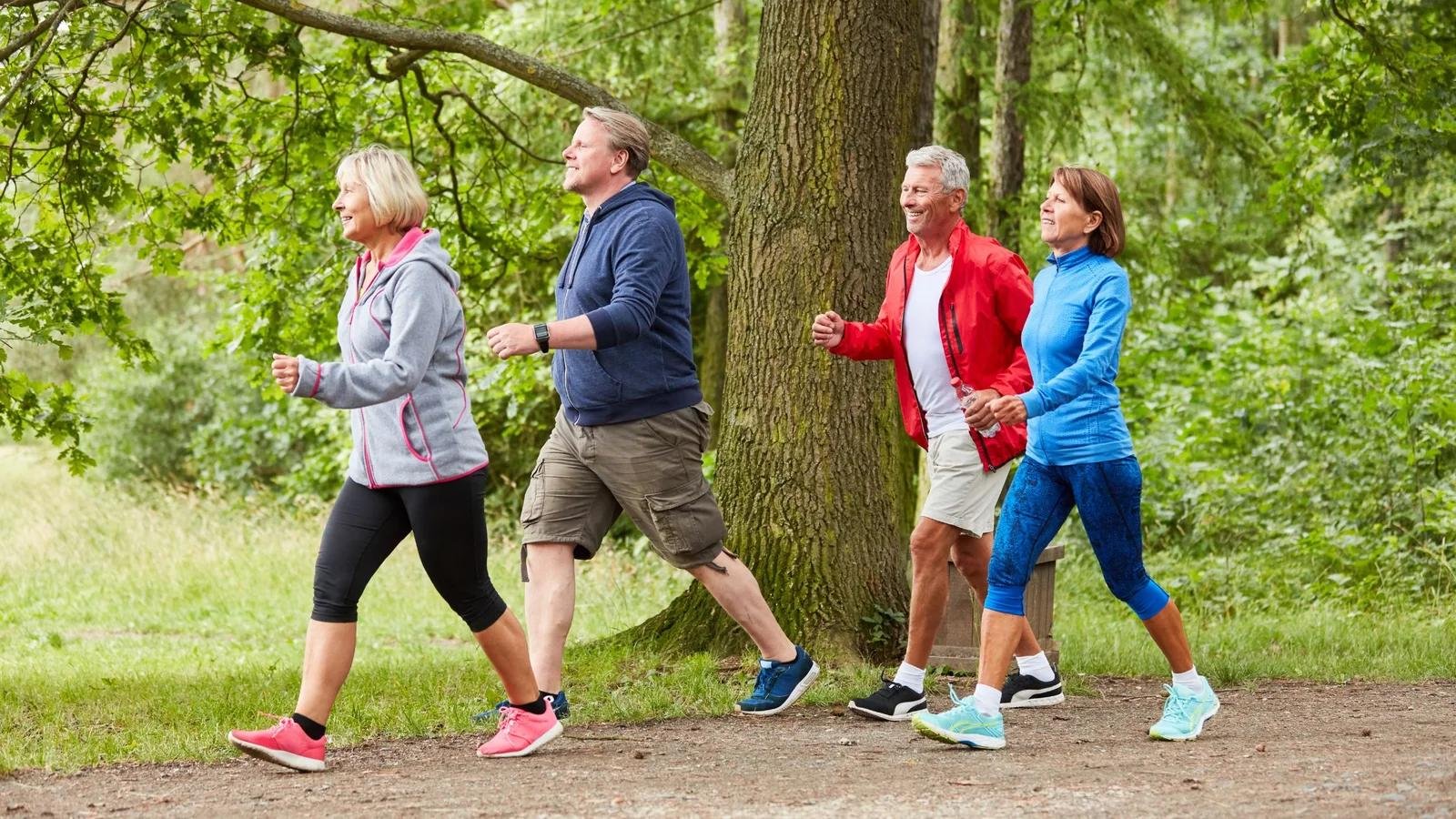 Just 15 Minutes a Day: The Simple Walk That Protects Your Heart